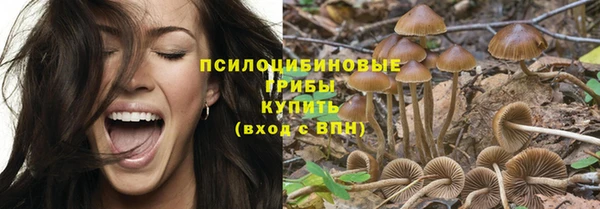 MDMA Premium VHQ Беломорск